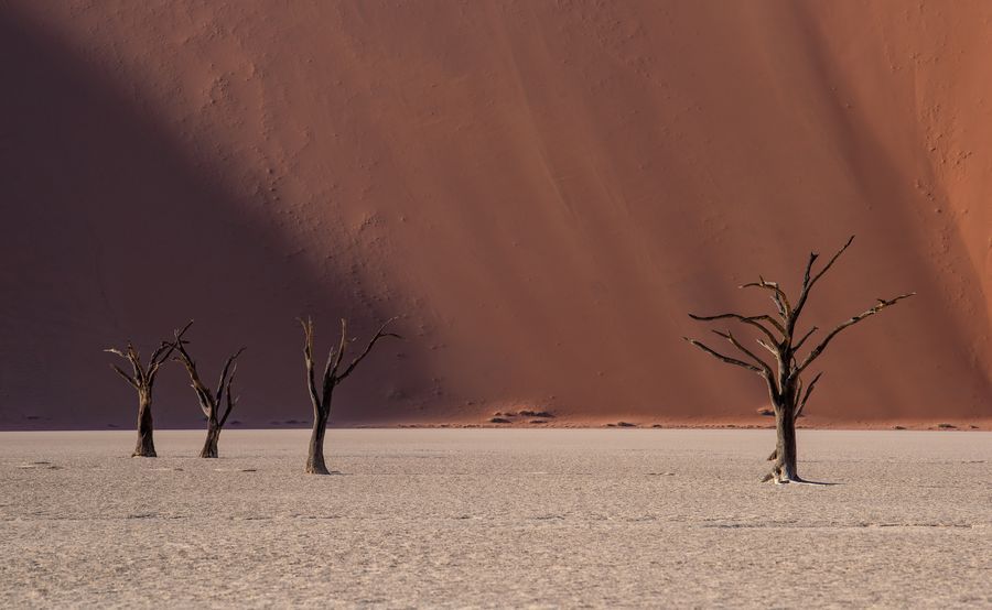 Deadvlei in undefined region of undefined