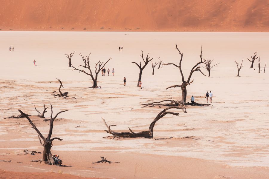 Deadvlei in undefined region of undefined