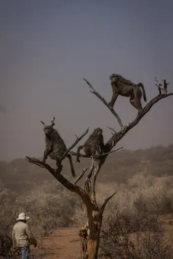 Naankuse Foundation in Windhoek region of Namibia