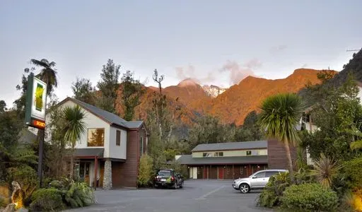 Punga Grove in Glaciers region of New Zealand