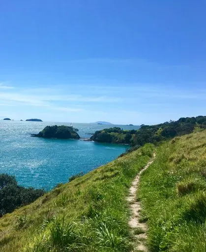 Waiheke Island in Auckland region of New Zealand