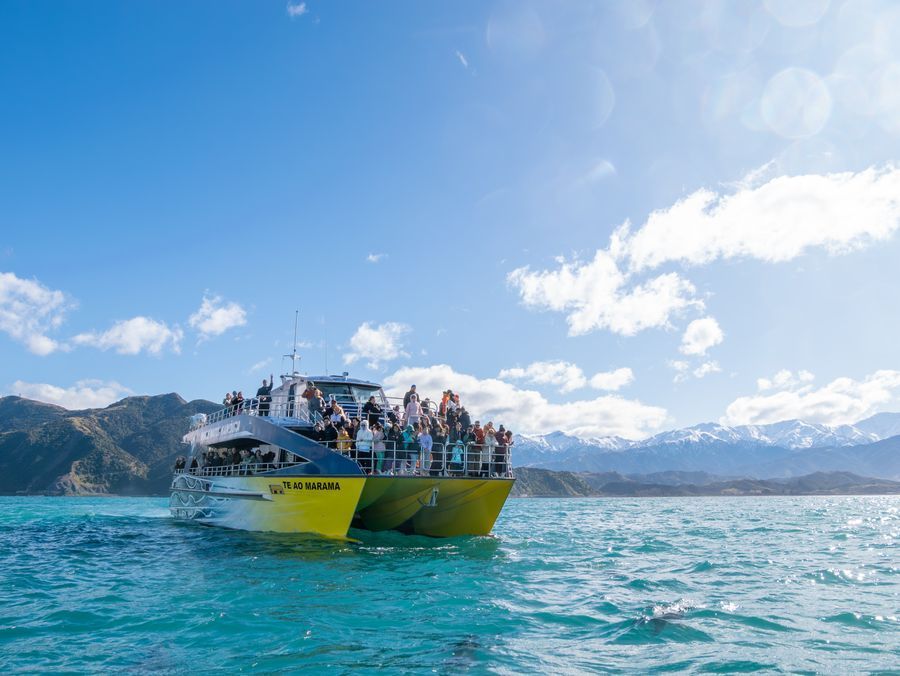 Whale Watch Kaikōura in undefined region of undefined