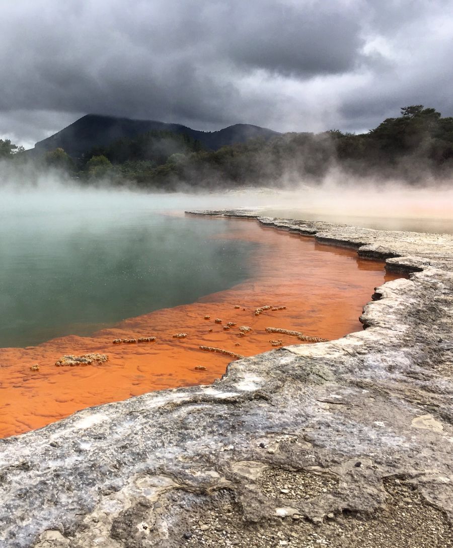 Wai-O-Tapu in undefined region of undefined