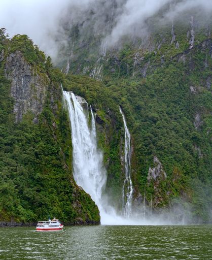 Milford Sound Cruise activity image