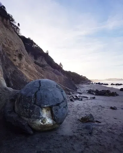Moeraki Boulders Beach in Dunedin region of New Zealand