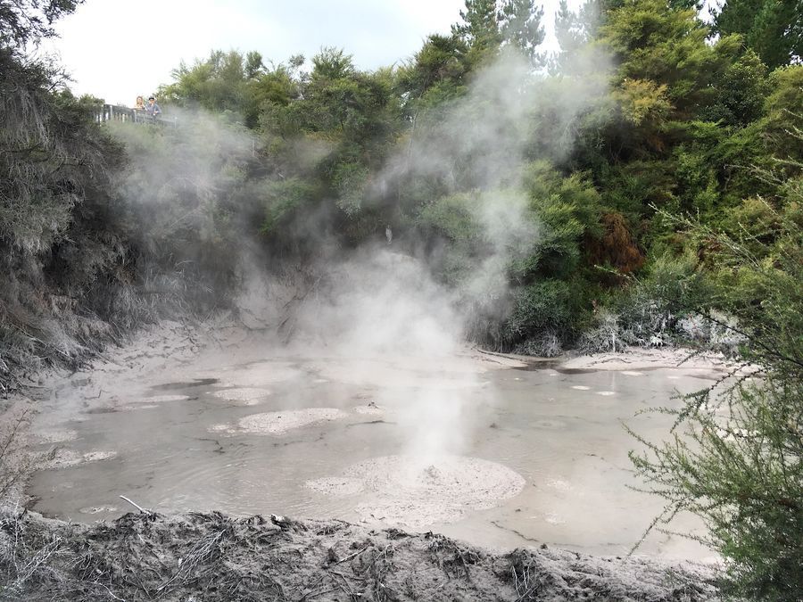 Wai-O-Tapu in undefined region of undefined