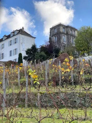 Montmartre Vineyards preview image