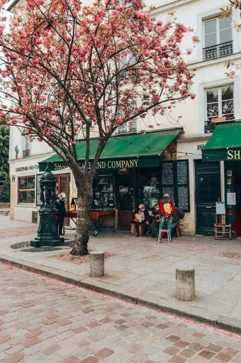 Shakespeare & Company preview image