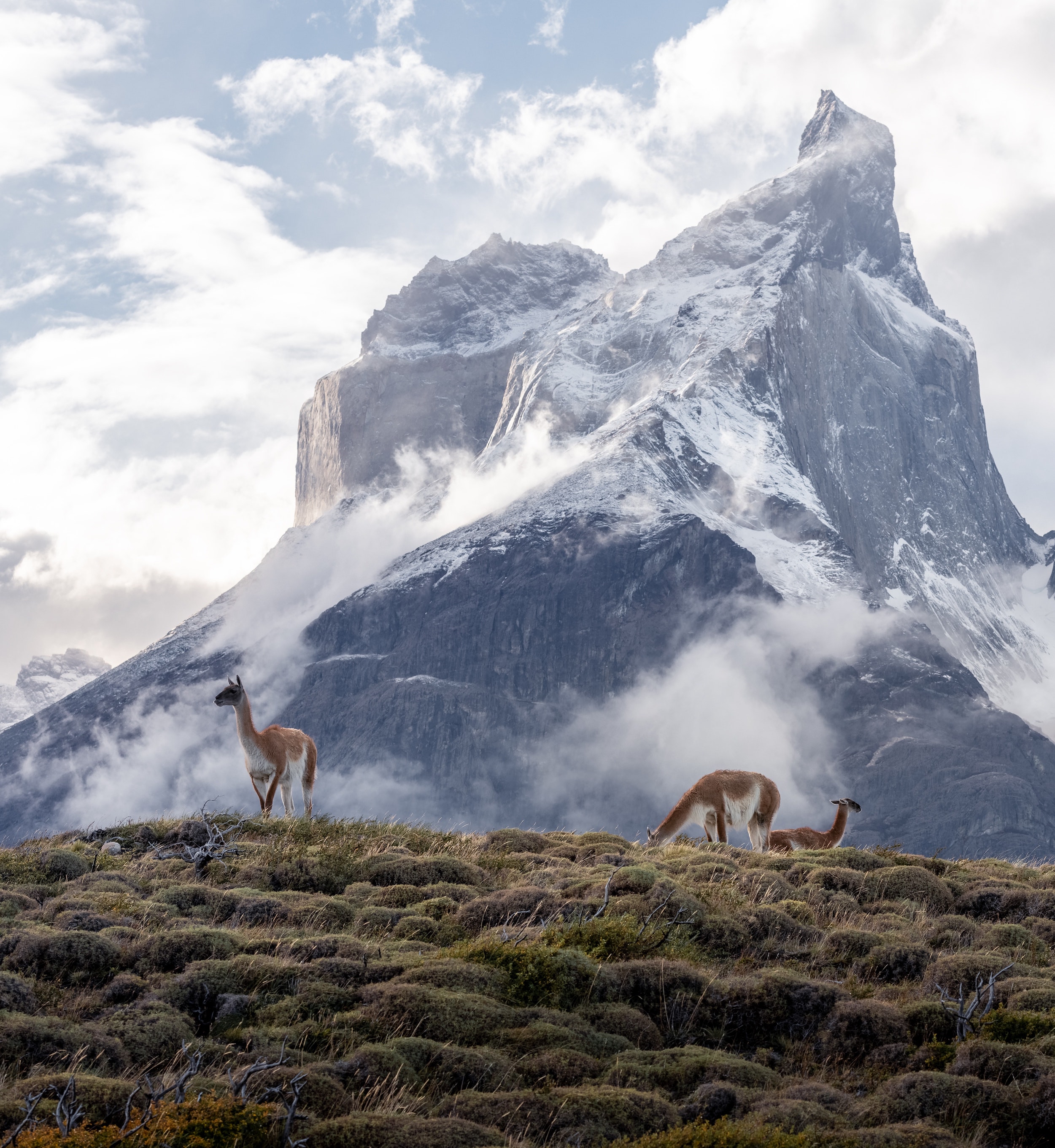 Argentinian Patagonia itineraries image