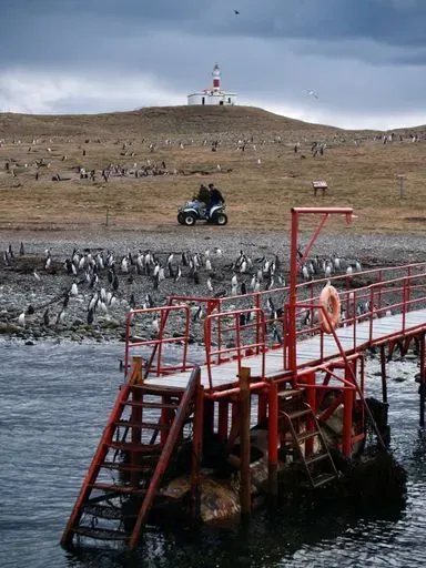 Isla Magdalena in Punta Arenas region of Patagonia