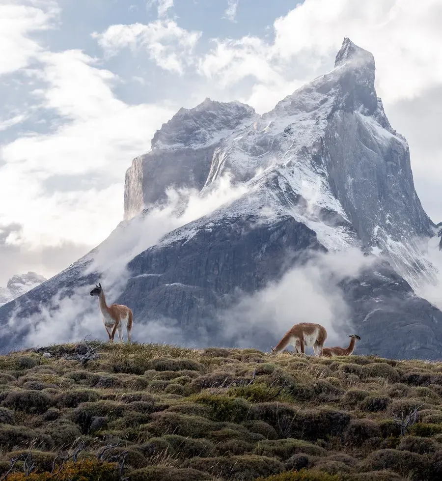 Patagonian Adventure cover photo