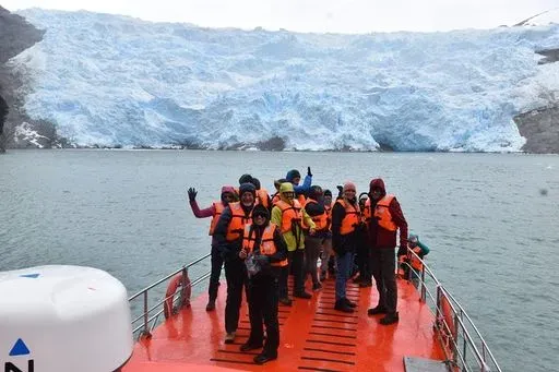 Whale & Penguin Watching in Punta Arenas region of Patagonia
