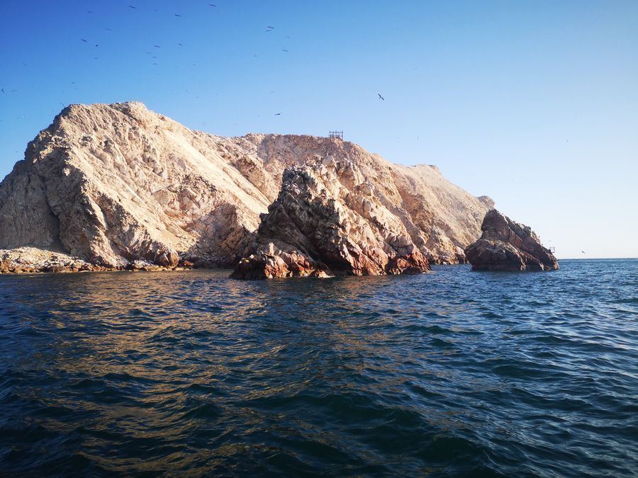 Islas Ballestas in undefined region of undefined