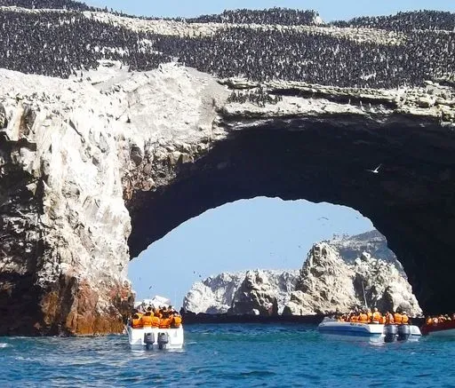 Islas Ballestas in Ica region of Peru