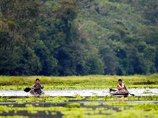 Muyuna Jungle Tour in Iquitos region of Peru