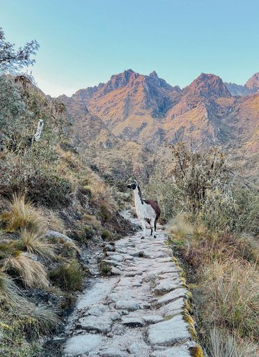 The Inca Trail activity image