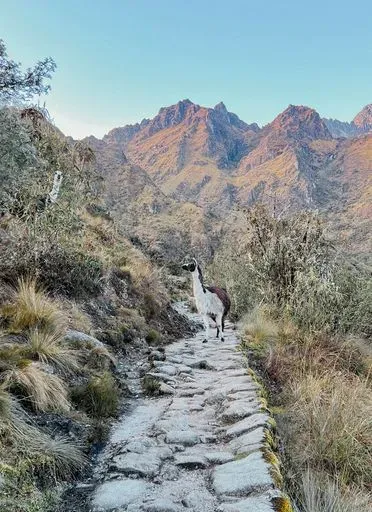 The Inca Trail in Cusco region of Peru