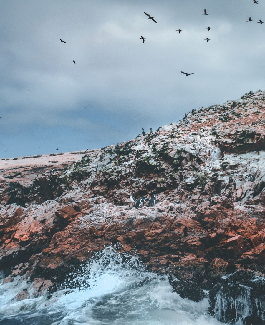 Islas Ballestas in undefined region of undefined