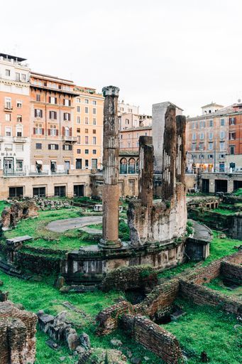 Largo di Torre Argentina activity image