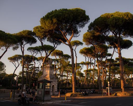 Villa Borghese Gardens activity image