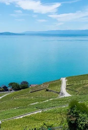 Domaine De La Crausaz in Lake Geneva region of Switzerland