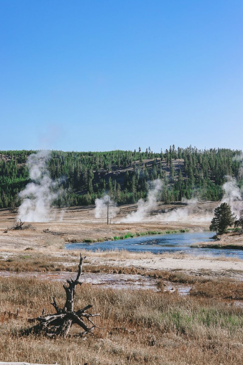 Upper Geyser Basin in undefined region of undefined