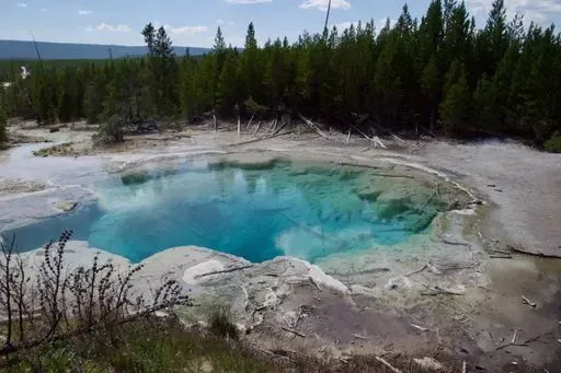 Norris Porcelain Basin in Canyon Village region of Yellowstone