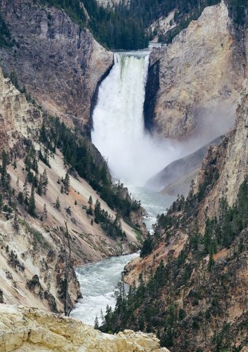 Grand Canyon Of The Yellowstone activity image