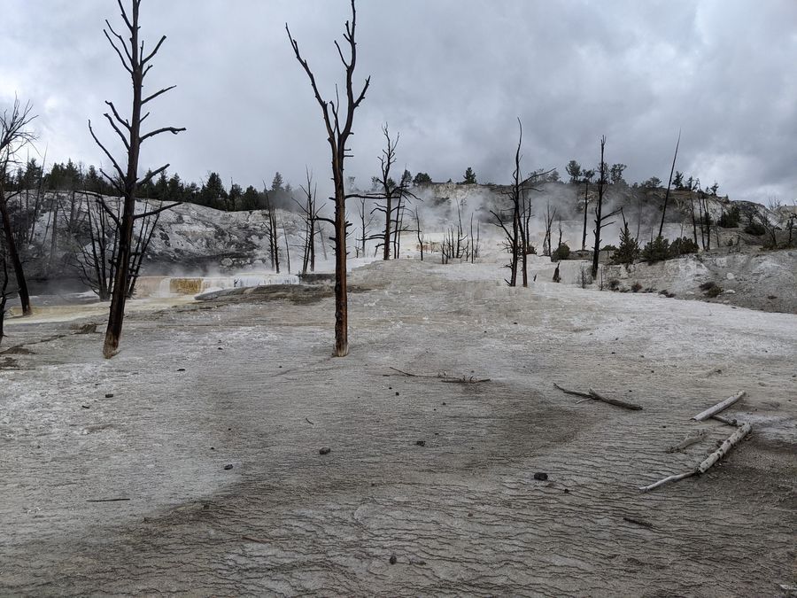 Mammoth Hot Springs in undefined region of undefined