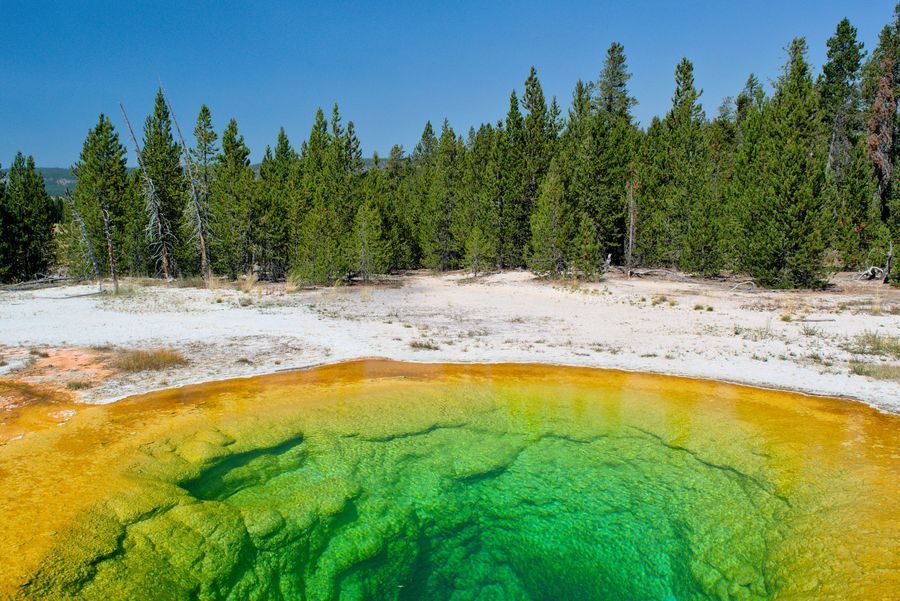 Upper Geyser Basin in undefined region of undefined