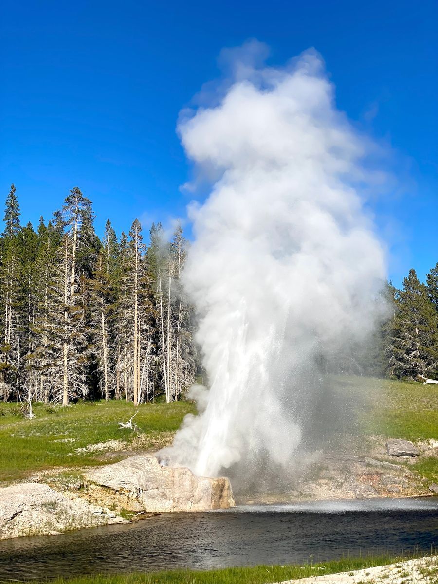 Upper Geyser Basin in undefined region of undefined