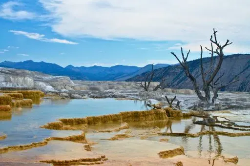 Mammoth Hot Springs in Mammoth region of Yellowstone
