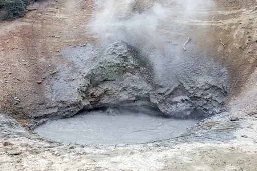 Mud Volcano in Canyon Village region of Yellowstone
