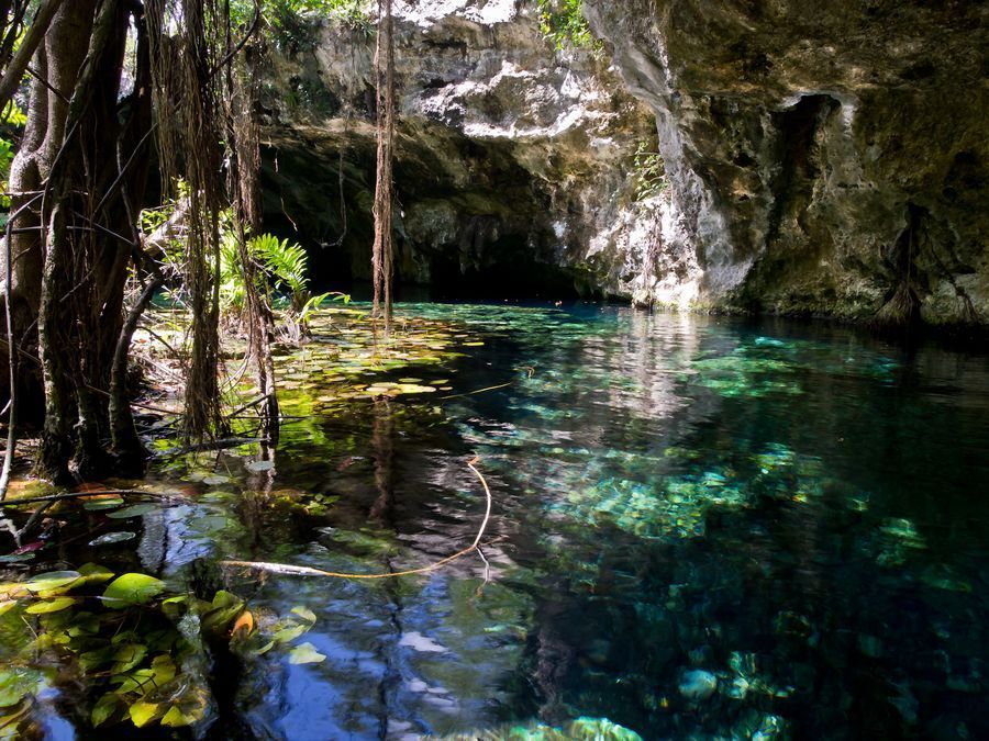 Gran Cenote in undefined region of undefined