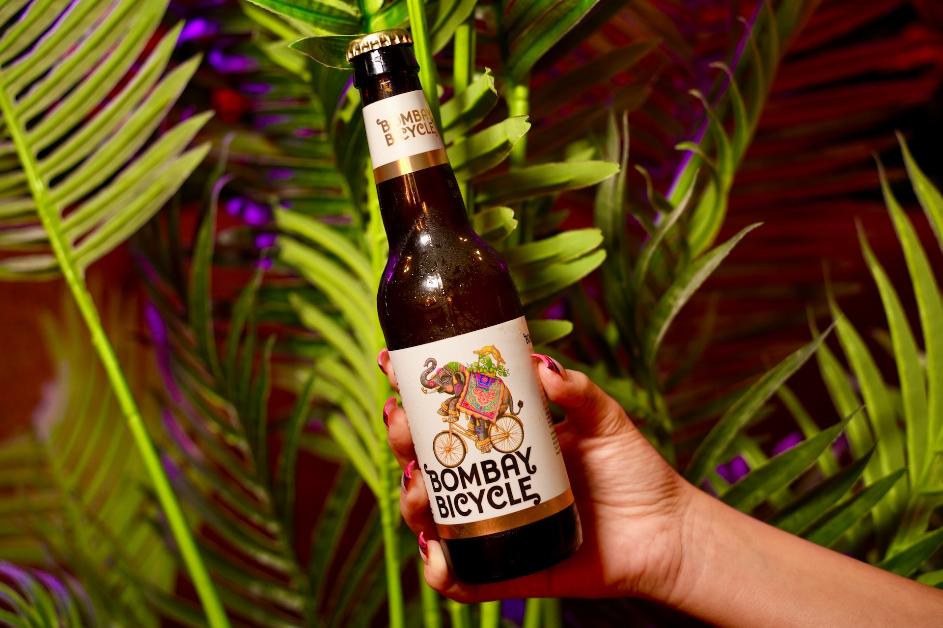 Bombay Bicycle IPA (330ml)