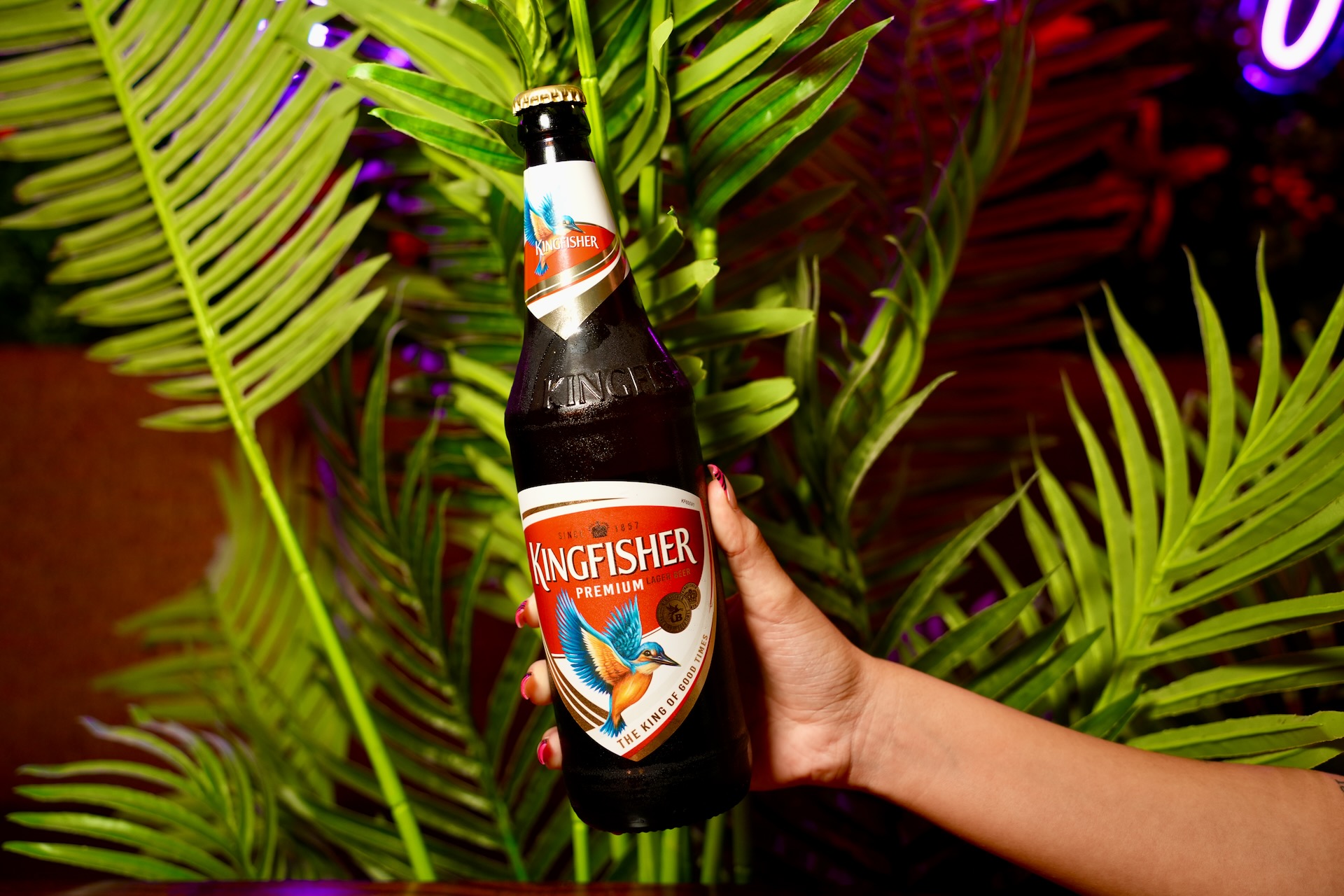 Kingfisher (650ml)