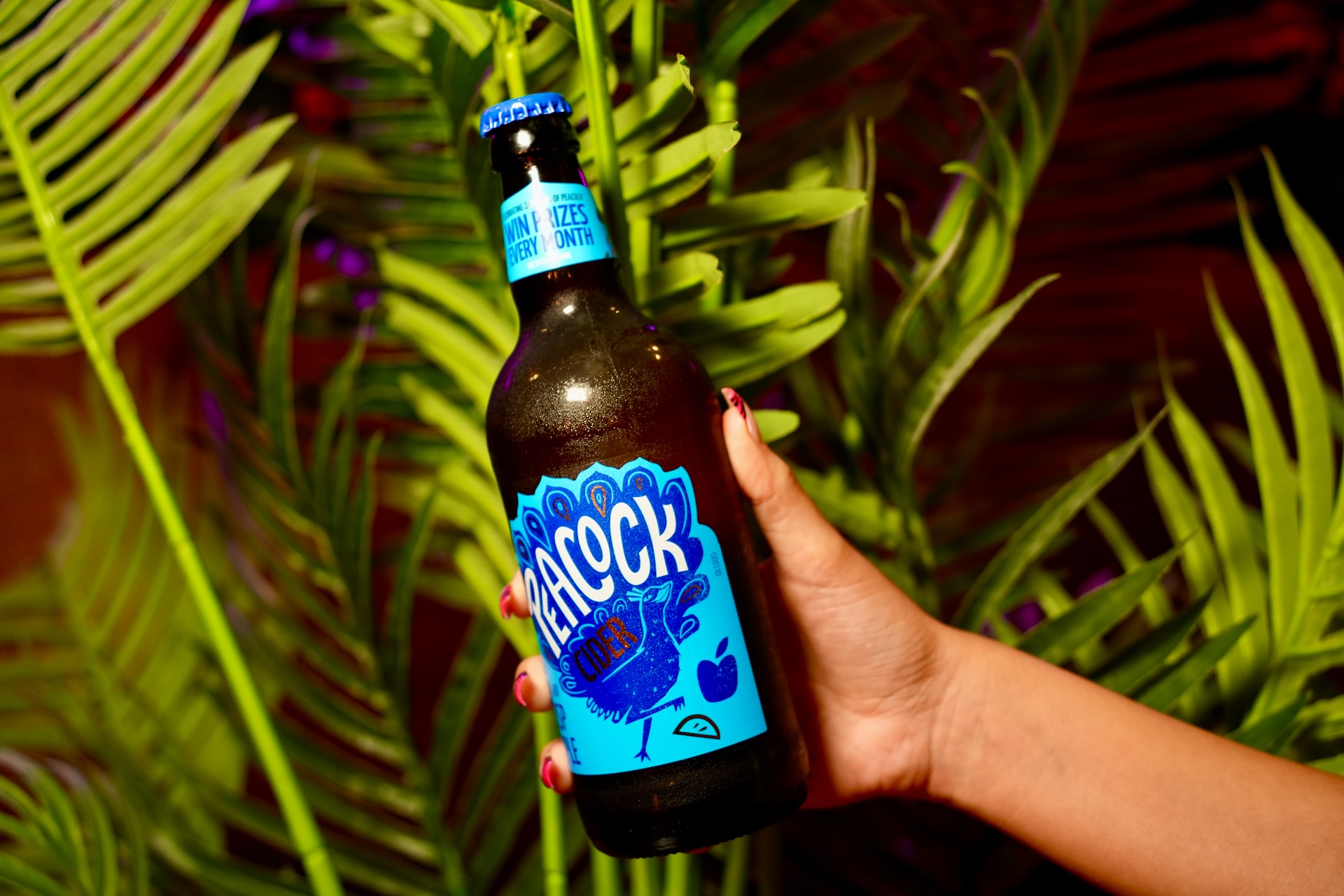 Peacocks Apple Cider (500ml)