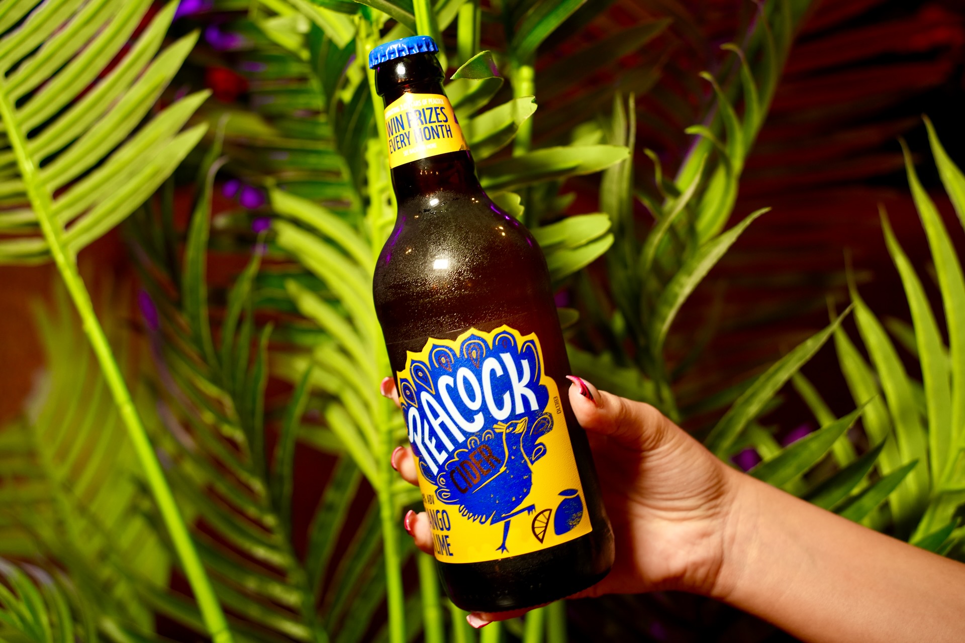 Peacocks Mango & Lime Cider (500ml)