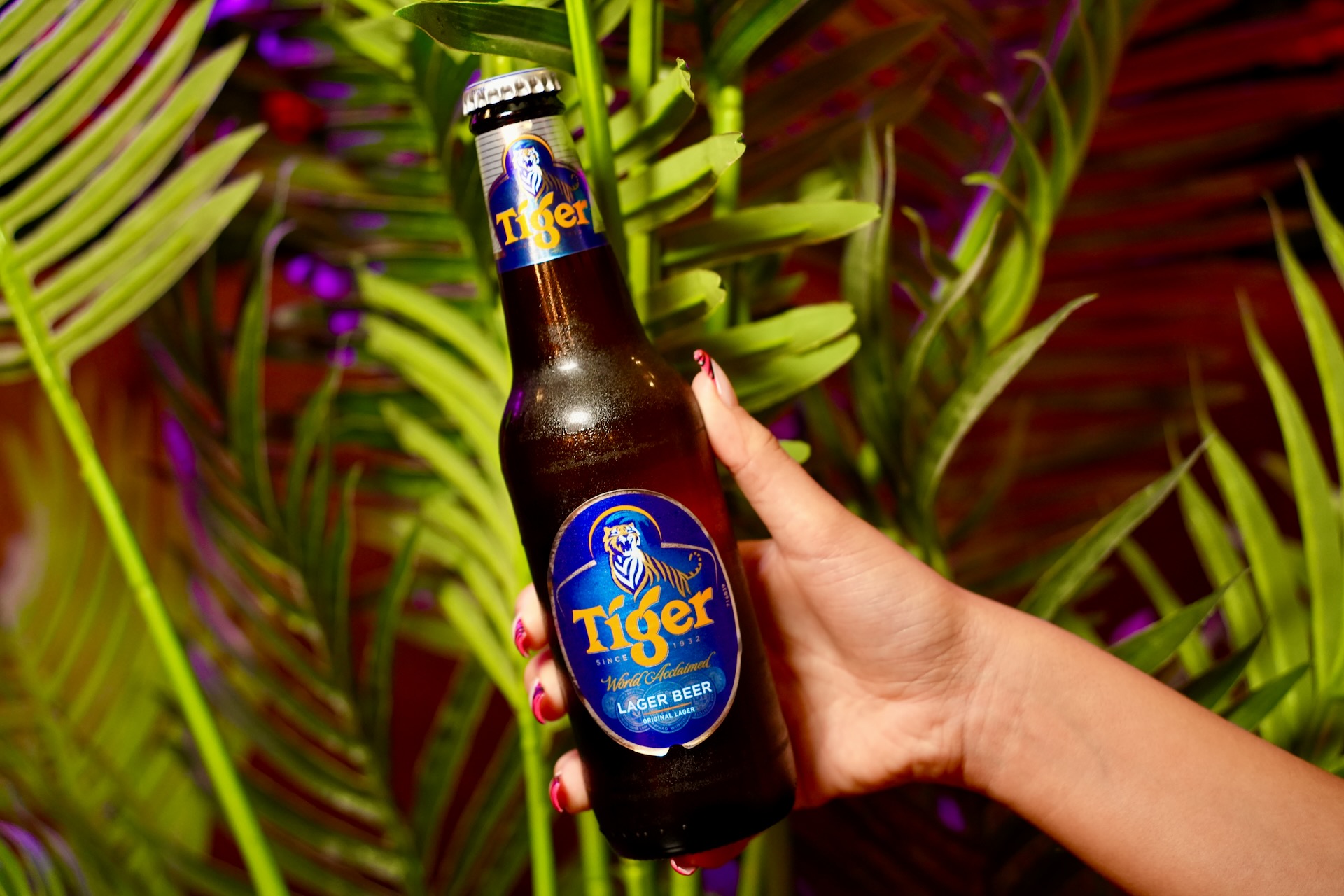 Tiger (330ml)