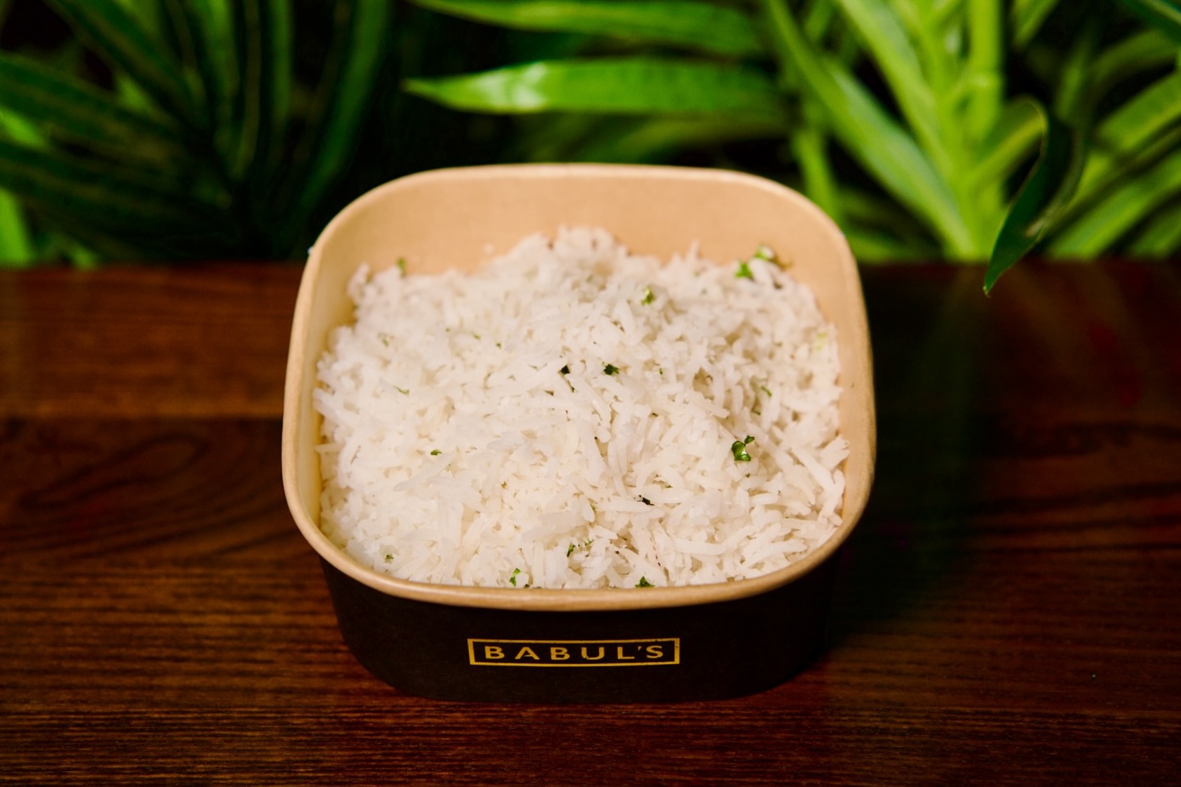 Coconut Rice