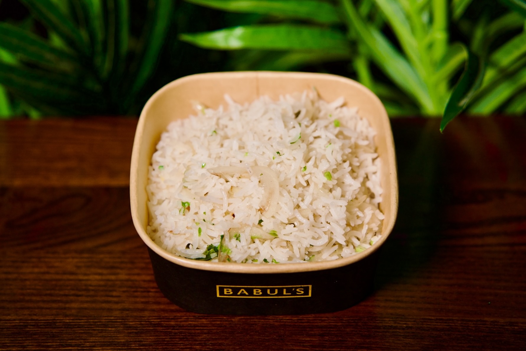 Onion Rice