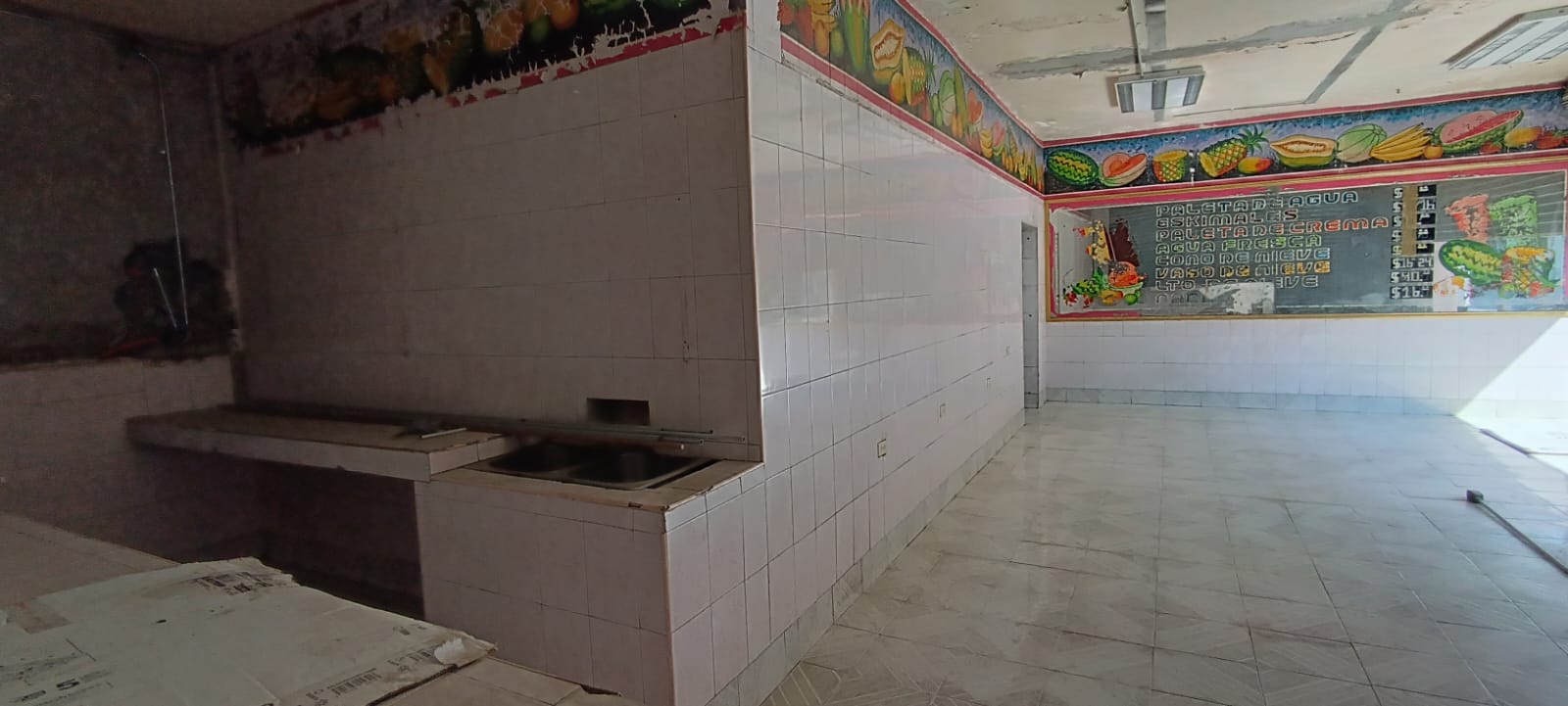 DR MIER, SECTOR CENTRO