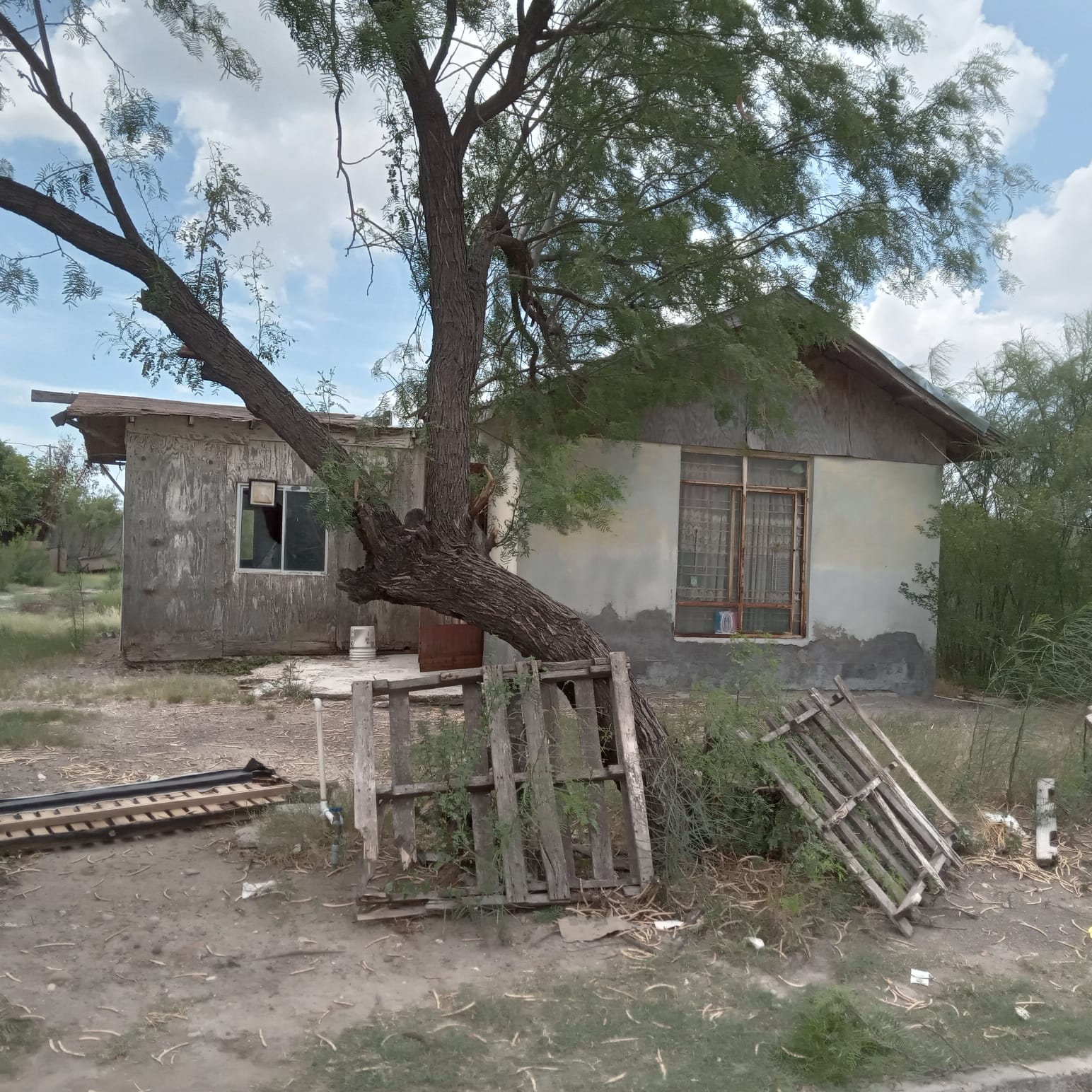 GONZALEZ 8635, COL. JOYA