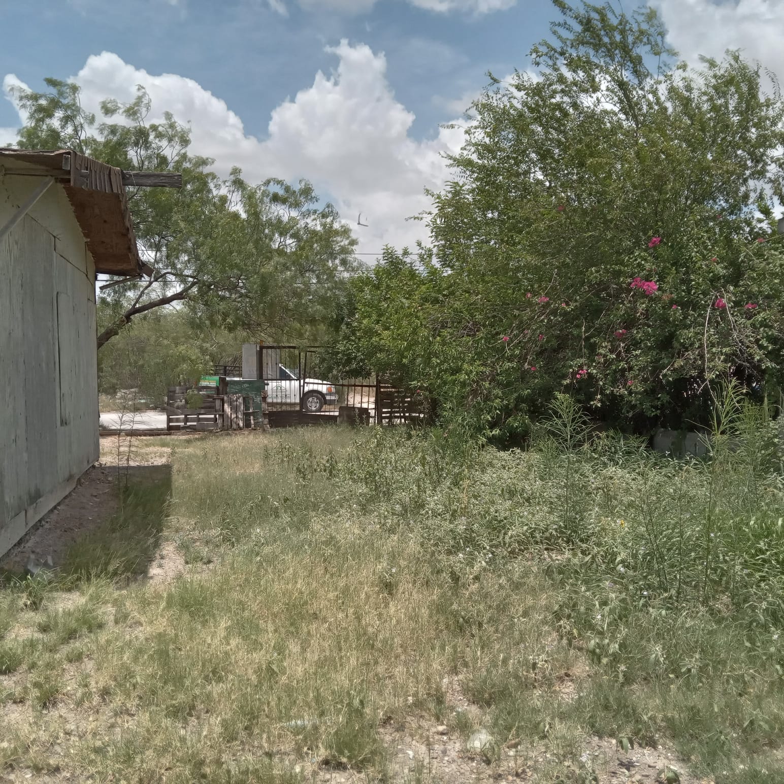 GONZALEZ 8635, COL. JOYA