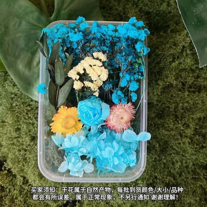 1 Kit de fleurs miniature 4