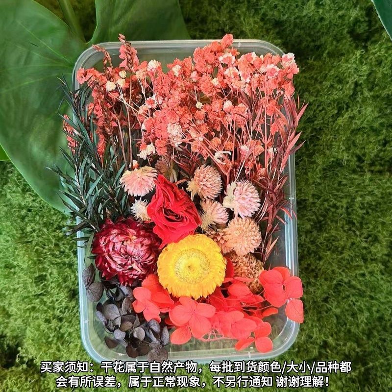 1 Kit de fleurs miniature 3