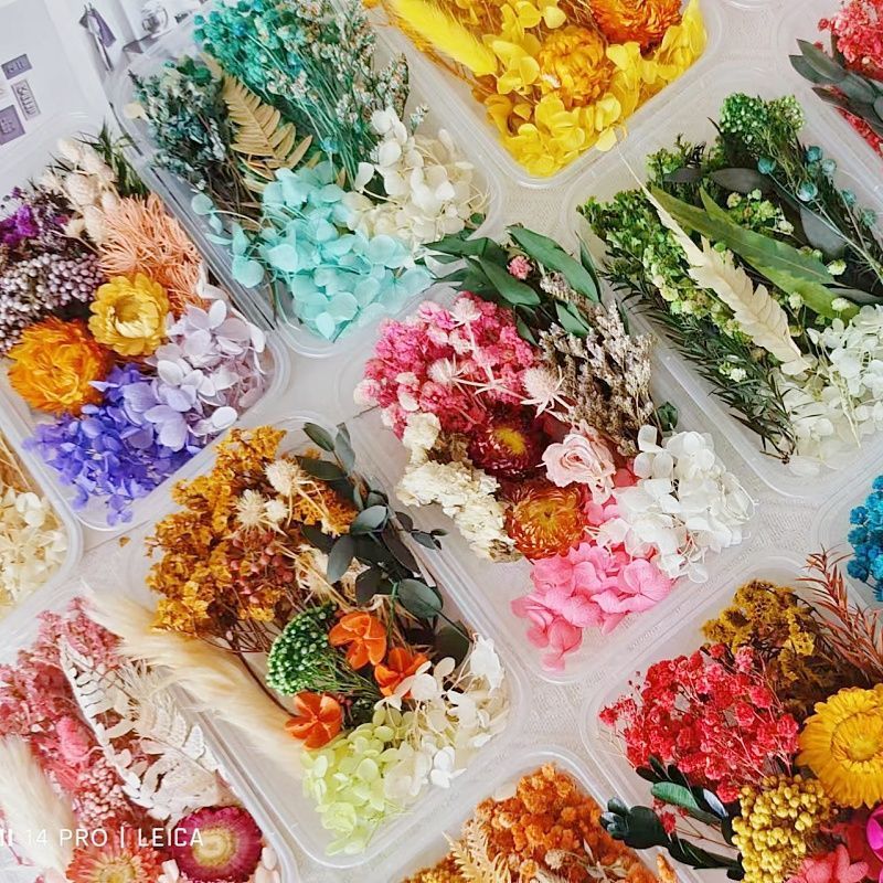 1 Kit de fleurs miniature 8