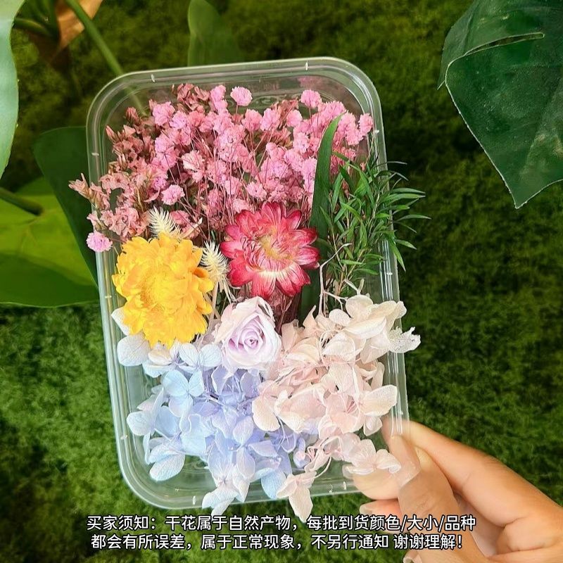 1 Kit de fleurs miniature 5