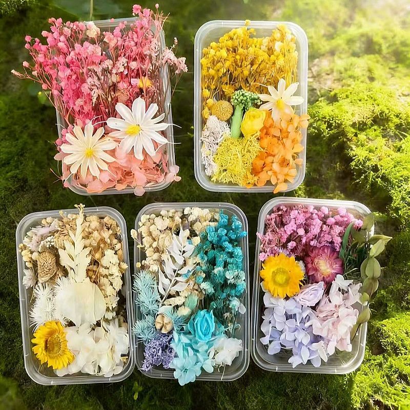 1 Kit de fleurs miniature 10