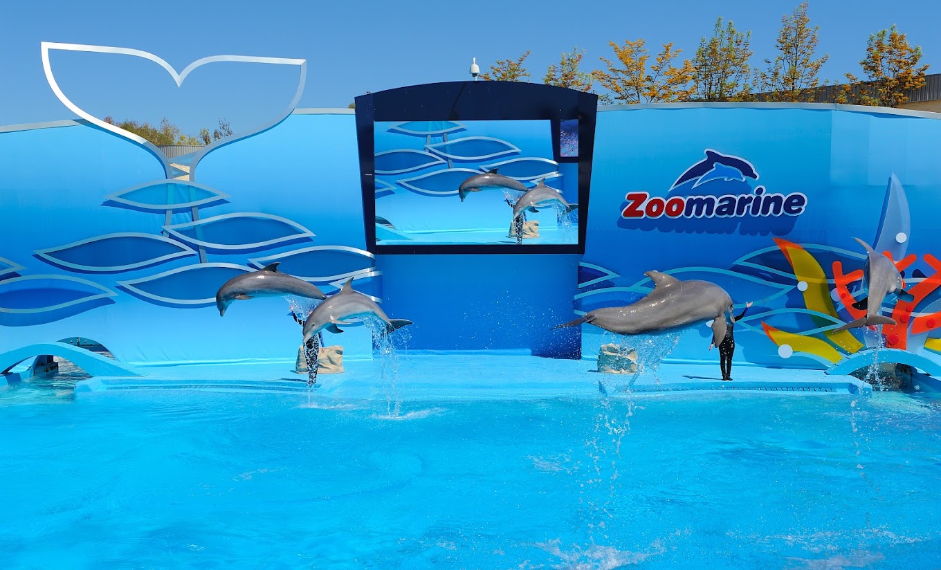Zoomarine